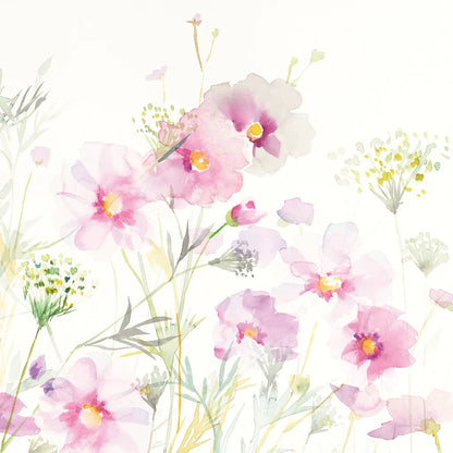 Queen Annes Lace and Cosmos on White II by Danhui Nai. SKU 35410a. Archival Giclee Fine art print for wall decor.