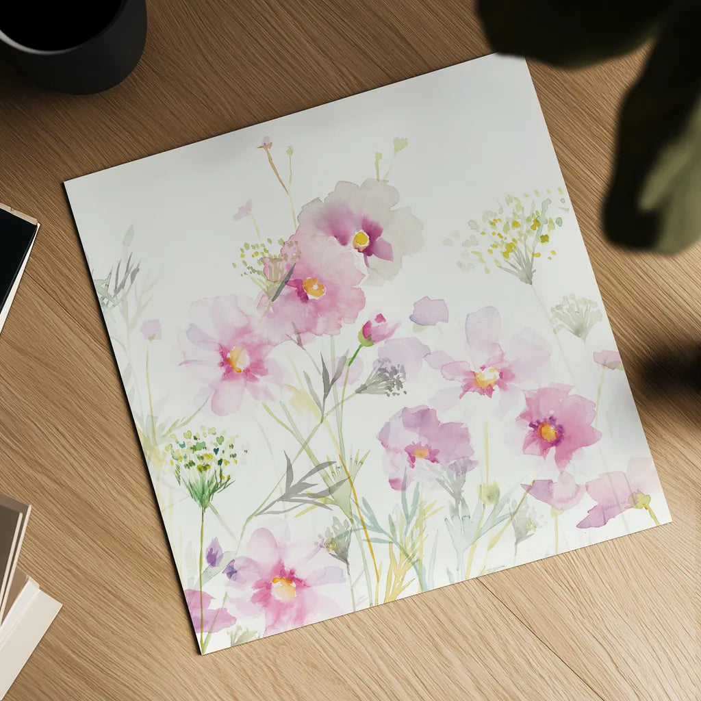Queen Annes Lace and Cosmos on White II by Danhui Nai. Shown as a detailed flat fine art print, highlighting archival giclee quality. Available as an archival giclee rolled canvas, fine art paper, or poster print. SKU 35410a.