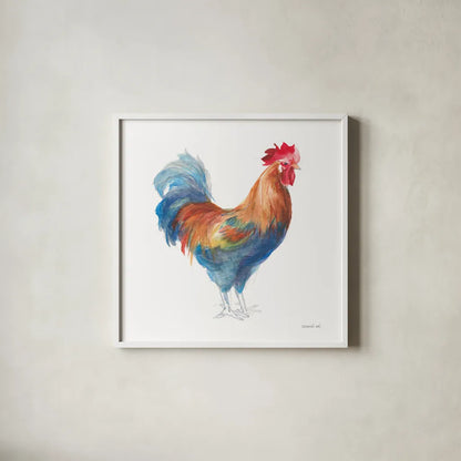 Rooster on White by Danhui Nai. Shown in a crisp white glass frame for a clean and minimalist style. Available as an archival giclee rolled canvas, fine art paper, or poster print. SKU 46170a.