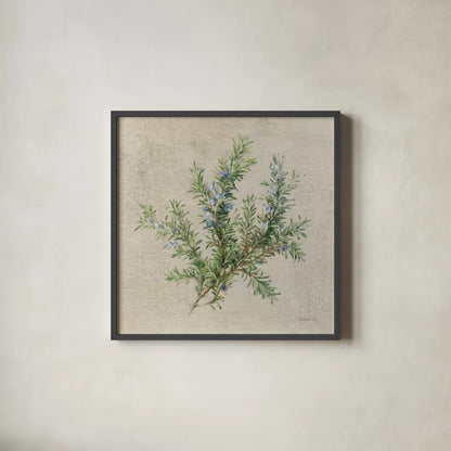 Rosemary by Danhui Nai. Shown in a sleek black glass frame for a contemporary gallery look. Available as an archival giclee rolled canvas, fine art paper, or poster print. SKU 100975a.