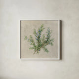 Rosemary by Danhui Nai. Shown in a crisp white glass frame for a clean and minimalist style. Available as an archival giclee rolled canvas, fine art paper, or poster print. SKU 100975a.