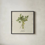 Rustic Herbs I Neutral by Danhui Nai. Shown in a sleek black glass frame for a contemporary gallery look. Available as an archival giclee rolled canvas, fine art paper, or poster print. SKU 100731a.