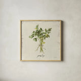 Rustic Herbs I Neutral by Danhui Nai. Shown in a natural wood glass frame for a timeless modern aesthetic. Available as an archival giclee rolled canvas, fine art paper, or poster print. SKU 100731a.