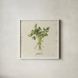 Rustic Herbs I Neutral by Danhui Nai. Shown in a crisp white glass frame for a clean and minimalist style. Available as an archival giclee rolled canvas, fine art paper, or poster print. SKU 100731a.