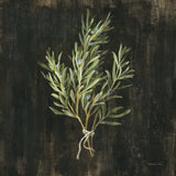 Rustic Herbs II by Danhui Nai. SKU 100644a. Archival Giclee Fine art print for wall decor.