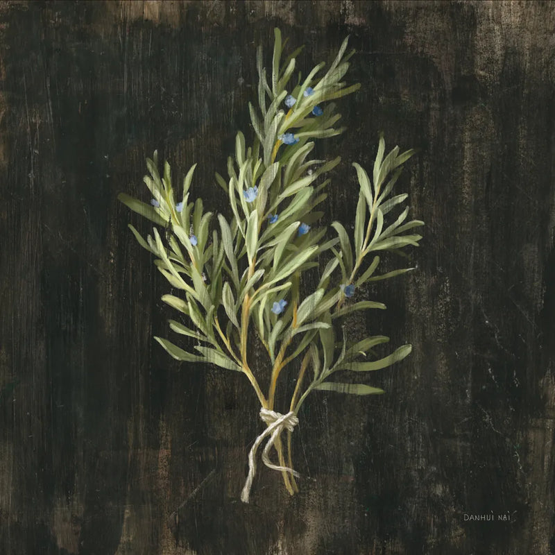 Rustic Herbs II by Danhui Nai. SKU 100644a. Archival Giclee Fine art print for wall decor.