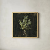 Rustic Herbs II by Danhui Nai. Shown in a natural wood glass frame for a timeless modern aesthetic. Available as an archival giclee rolled canvas, fine art paper, or poster print. SKU 100644a.