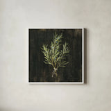 Rustic Herbs II by Danhui Nai. Shown in a crisp white glass frame for a clean and minimalist style. Available as an archival giclee rolled canvas, fine art paper, or poster print. SKU 100644a.