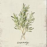 Rustic Herbs II Neutral by Danhui Nai. SKU 100732a. Archival Giclee Fine art print for wall decor.