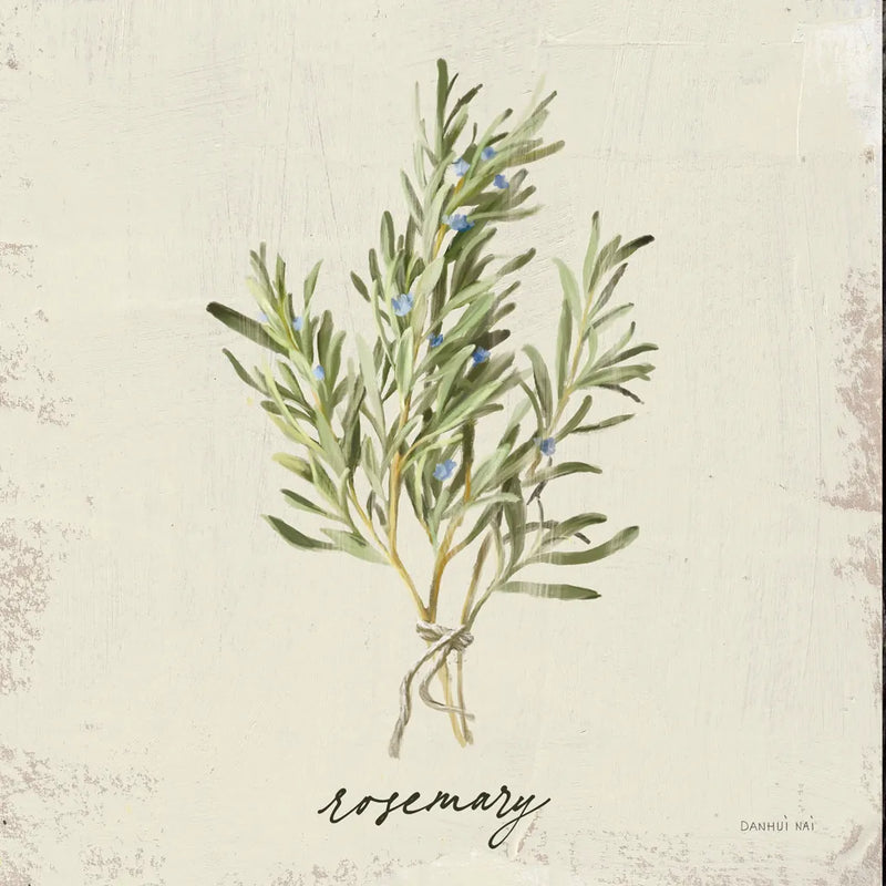 Rustic Herbs II Neutral by Danhui Nai. SKU 100732a. Archival Giclee Fine art print for wall decor.