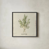 Rustic Herbs II Neutral by Danhui Nai. Shown in a sleek black glass frame for a contemporary gallery look. Available as an archival giclee rolled canvas, fine art paper, or poster print. SKU 100732a.