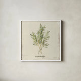 Rustic Herbs II Neutral by Danhui Nai. Shown in a crisp white glass frame for a clean and minimalist style. Available as an archival giclee rolled canvas, fine art paper, or poster print. SKU 100732a.
