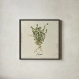 Rustic Herbs III Neutral by Danhui Nai. Shown in a sleek black glass frame for a contemporary gallery look. Available as an archival giclee rolled canvas, fine art paper, or poster print. SKU 100733a.