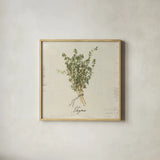 Rustic Herbs III Neutral by Danhui Nai. Shown in a natural wood glass frame for a timeless modern aesthetic. Available as an archival giclee rolled canvas, fine art paper, or poster print. SKU 100733a.