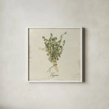 Rustic Herbs III Neutral by Danhui Nai. Shown in a crisp white glass frame for a clean and minimalist style. Available as an archival giclee rolled canvas, fine art paper, or poster print. SKU 100733a.