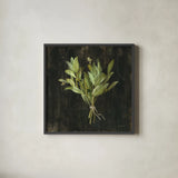 Rustic Herbs IV by Danhui Nai. Shown in a sleek black glass frame for a contemporary gallery look. Available as an archival giclee rolled canvas, fine art paper, or poster print. SKU 100646a.