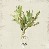 Rustic Herbs IV Neutral by Danhui Nai. SKU 100734a. Archival Giclee Fine art print for wall decor.