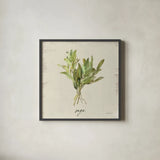 Rustic Herbs IV Neutral by Danhui Nai. Shown in a sleek black glass frame for a contemporary gallery look. Available as an archival giclee rolled canvas, fine art paper, or poster print. SKU 100734a.