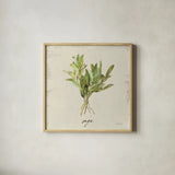 Rustic Herbs IV Neutral by Danhui Nai. Shown in a natural wood glass frame for a timeless modern aesthetic. Available as an archival giclee rolled canvas, fine art paper, or poster print. SKU 100734a.