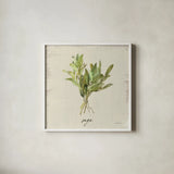 Rustic Herbs IV Neutral by Danhui Nai. Shown in a crisp white glass frame for a clean and minimalist style. Available as an archival giclee rolled canvas, fine art paper, or poster print. SKU 100734a.