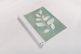 Sage Leaves I by Danhui Nai. shown as a rolled paper print. Available as archival giclee rolled canvas, fine art paper, or poster print. SKU 64840h.