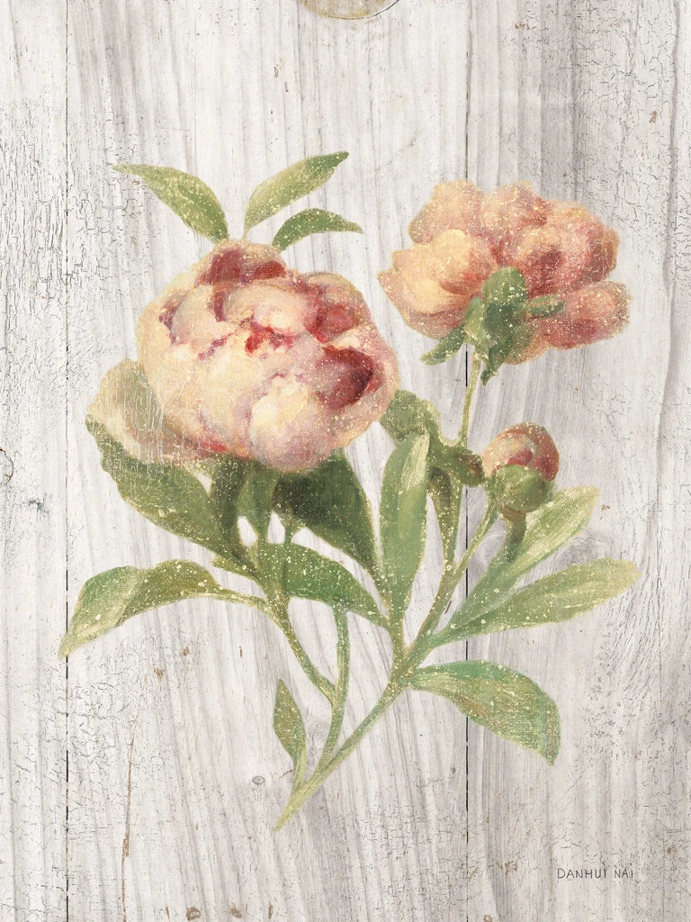 Scented Cottage Florals I by Danhui Nai