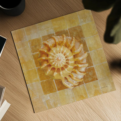 Seashell I by Danhui Nai. Shown as a detailed flat fine art print, highlighting archival giclee quality. Available as an archival giclee rolled canvas, fine art paper, or poster print. SKU 5423a.