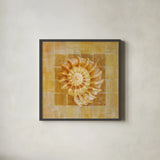Seashell I by Danhui Nai. Shown in a sleek black glass frame for a contemporary gallery look. Available as an archival giclee rolled canvas, fine art paper, or poster print. SKU 5423a.