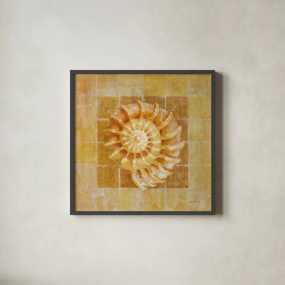 Seashell I by Danhui Nai. Shown in a sleek black glass frame for a contemporary gallery look. Available as an archival giclee rolled canvas, fine art paper, or poster print. SKU 5423a.