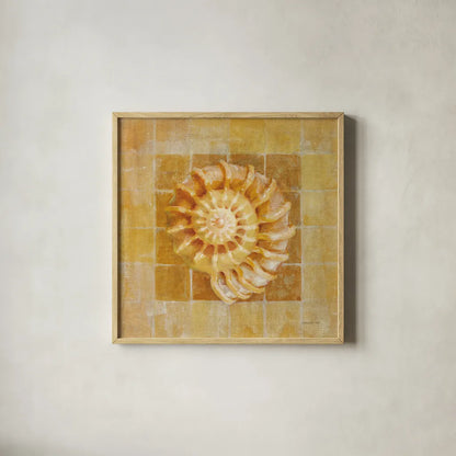 Seashell I by Danhui Nai. Shown in a natural wood glass frame for a timeless modern aesthetic. Available as an archival giclee rolled canvas, fine art paper, or poster print. SKU 5423a.