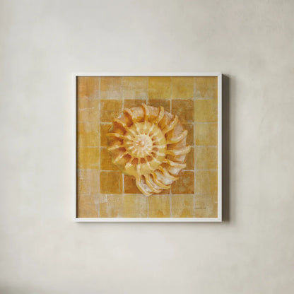 Seashell I by Danhui Nai. Shown in a crisp white glass frame for a clean and minimalist style. Available as an archival giclee rolled canvas, fine art paper, or poster print. SKU 5423a.