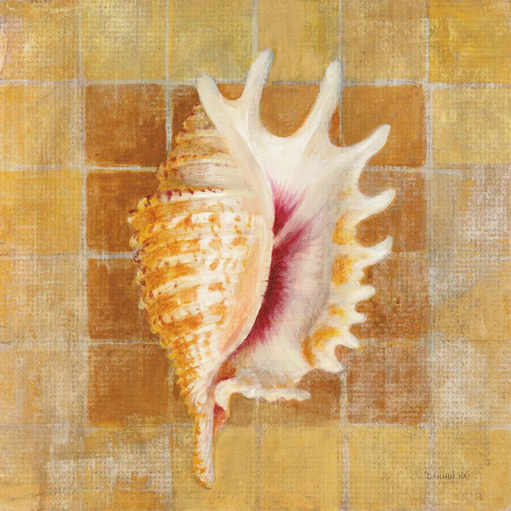 Seashell II by Danhui Nai. SKU 5424a. Archival Giclee Fine art print for wall decor.