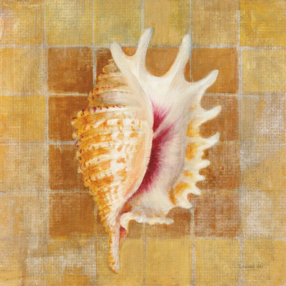 Seashell II by Danhui Nai. SKU 5424a. Archival Giclee Fine art print for wall decor.