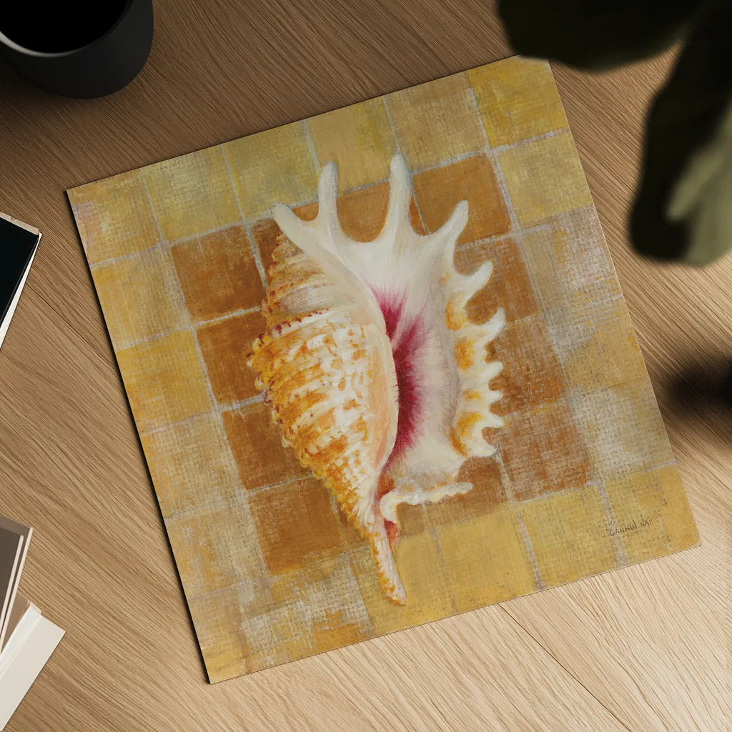 Seashell II by Danhui Nai. Shown as a detailed flat fine art print, highlighting archival giclee quality. Available as an archival giclee rolled canvas, fine art paper, or poster print. SKU 5424a.