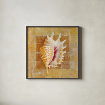 Seashell II by Danhui Nai. Shown in a sleek black glass frame for a contemporary gallery look. Available as an archival giclee rolled canvas, fine art paper, or poster print. SKU 5424a.