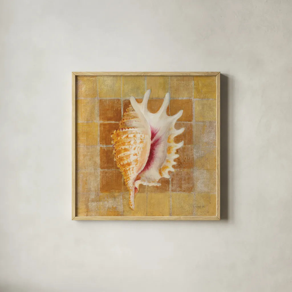 Seashell II by Danhui Nai. Shown in a natural wood glass frame for a timeless modern aesthetic. Available as an archival giclee rolled canvas, fine art paper, or poster print. SKU 5424a.