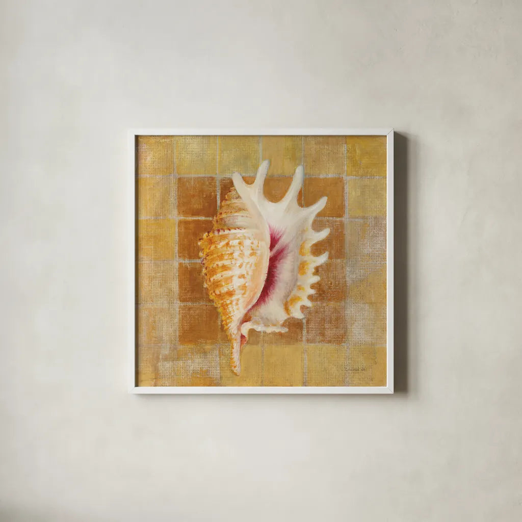 Seashell II by Danhui Nai. Shown in a crisp white glass frame for a clean and minimalist style. Available as an archival giclee rolled canvas, fine art paper, or poster print. SKU 5424a.