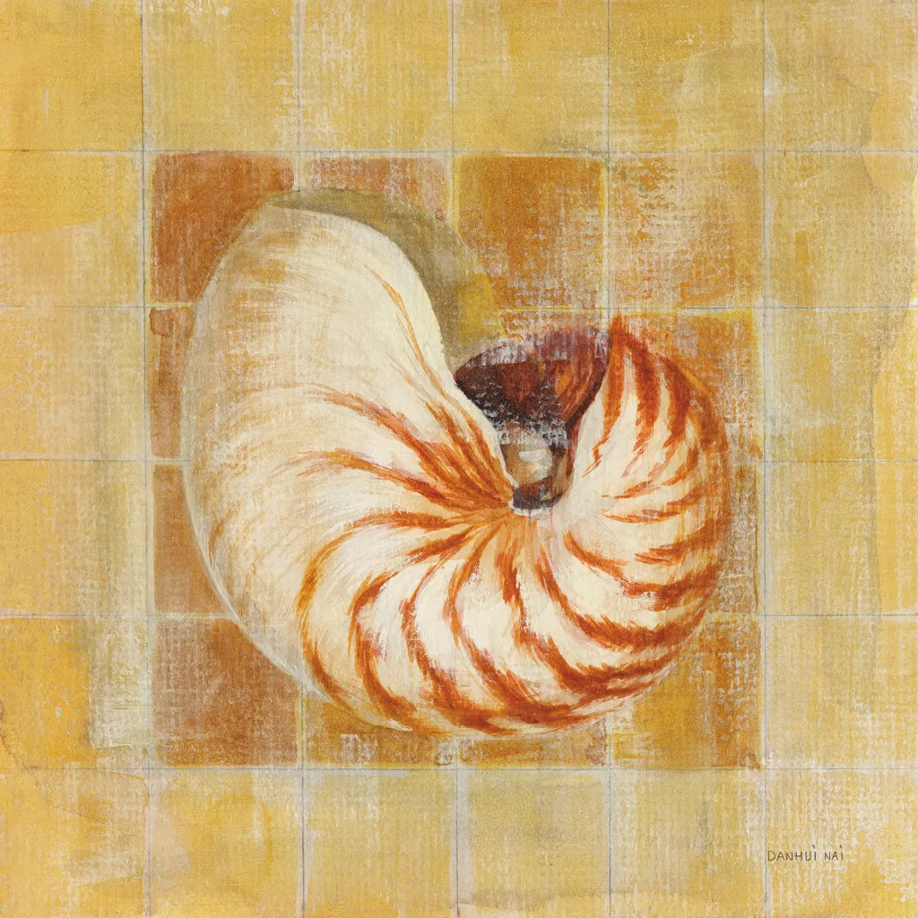 Seashell III by Danhui Nai. SKU 5425a. Archival Giclee Fine art print for wall decor.