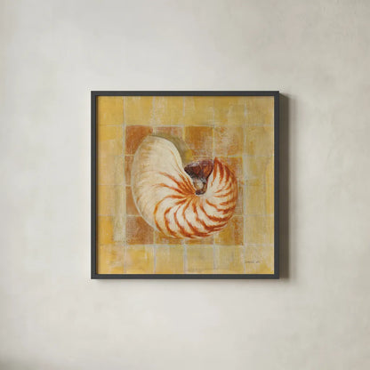 Seashell III by Danhui Nai. Shown in a sleek black glass frame for a contemporary gallery look. Available as an archival giclee rolled canvas, fine art paper, or poster print. SKU 5425a.
