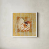 Seashell III by Danhui Nai. Shown in a crisp white glass frame for a clean and minimalist style. Available as an archival giclee rolled canvas, fine art paper, or poster print. SKU 5425a.