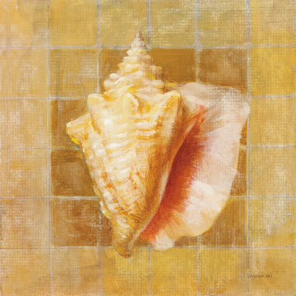 Seashell IV by Danhui Nai. SKU 5426a. Archival Giclee Fine art print for wall decor.