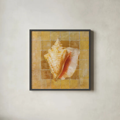Seashell IV by Danhui Nai. Shown in a sleek black glass frame for a contemporary gallery look. Available as an archival giclee rolled canvas, fine art paper, or poster print. SKU 5426a.