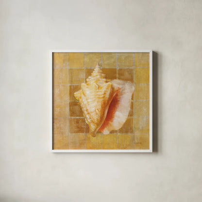Seashell IV by Danhui Nai. Shown in a crisp white glass frame for a clean and minimalist style. Available as an archival giclee rolled canvas, fine art paper, or poster print. SKU 5426a.