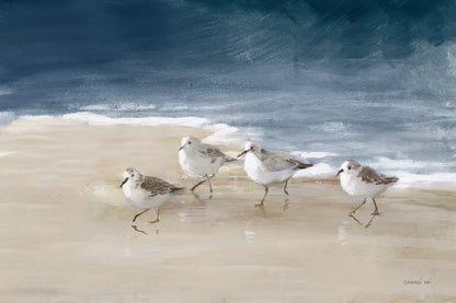 Shorebirds on Sand I Blue by Danhui Nai. SKU 88377i. Archival Giclee Fine art print for wall decor.