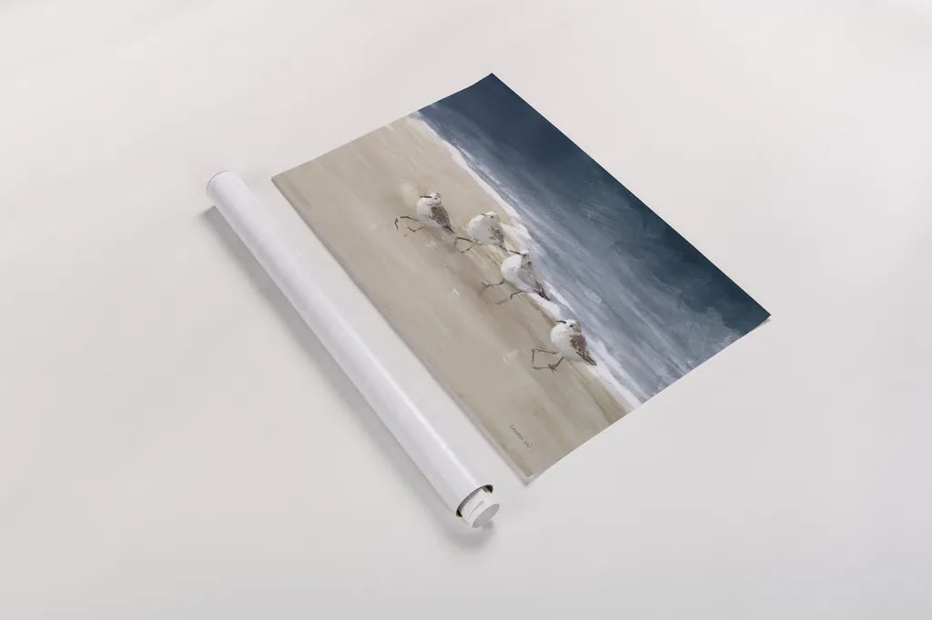 Shorebirds on Sand I Blue by Danhui Nai. shown as a rolled paper print. Available as archival giclee rolled canvas, fine art paper, or poster print. SKU 88377i.