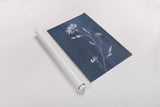 Simple Nature IV Crop by Danhui Nai. shown as a rolled paper print. Available as archival giclee rolled canvas, fine art paper, or poster print. SKU 73195h.