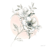 Sketchbook Garden I by Danhui Nai. SKU 41775a. Archival Giclee Fine art print for wall decor.