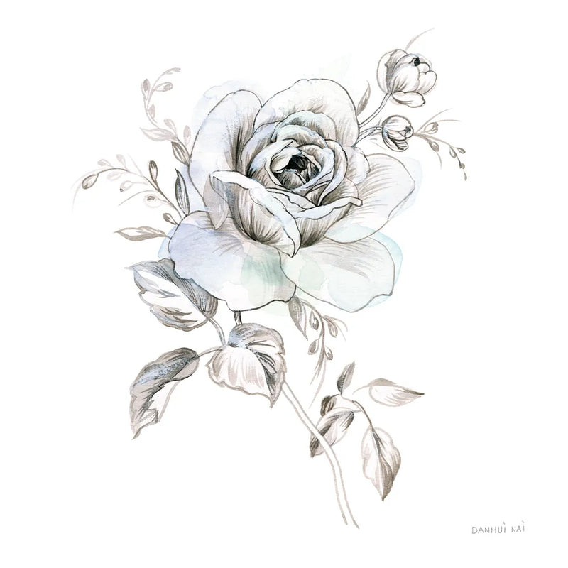 Sketchbook Garden IX by Danhui Nai. SKU 41783a. Archival Giclee Fine art print for wall decor.