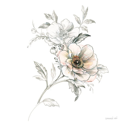 Sketchbook Garden VII by Danhui Nai. SKU 41781a. Archival Giclee Fine art print for wall decor.