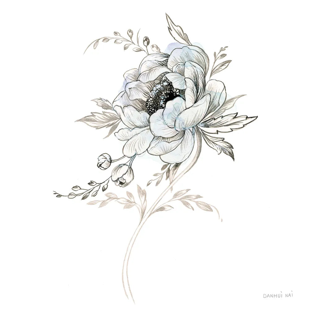 Sketchbook Garden VIII by Danhui Nai. SKU 41782a. Archival Giclee Fine art print for wall decor.